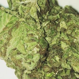 Meet your Posher, Degan